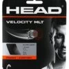 Head Velocity MLT 1.30/ 16G Black -Tennis Boutiques 281404 16BK