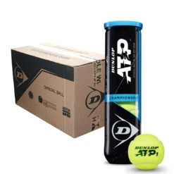 Dunlop ATP Championship 4 Ball 18 Can Case