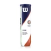 Wilson Roland Garros Clay Court 4 Ball Can 2 Wilson Roland Garros Clay Court 4 Ball Can -Tennis Boutiques T11500