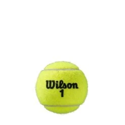Wilson Roland Garros Clay Court 4 Ball Can 12 Can Case 9 Wilson Roland Garros Clay Court 4 Ball Can 12 Can Case -Tennis Boutiques T11500X12 3