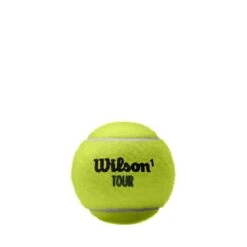 Wilson Tour Premier Grass Court 4 Ball Can 12 Case -Tennis Boutiques WR8200101001X12 2