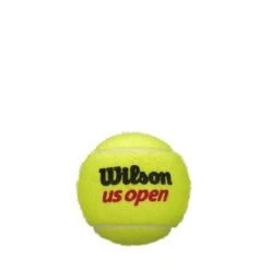 Wilson US Open 4 Ball 18 Can Case -Tennis Boutiques WRT116200X18 4