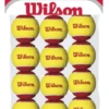 Wilson Starter Red Balls - 1 Dozen 1 Wilson Starter Red Balls - 1 Dozen -Tennis Boutiques WRT137100